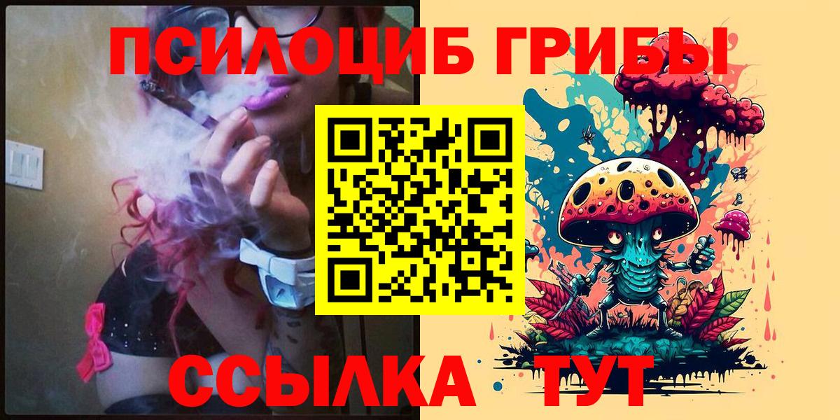 Зима  Галлюциногенные грибы ЛСД  где найти   Вход с VPN  Псилоцибиновые грибы Cubensis 