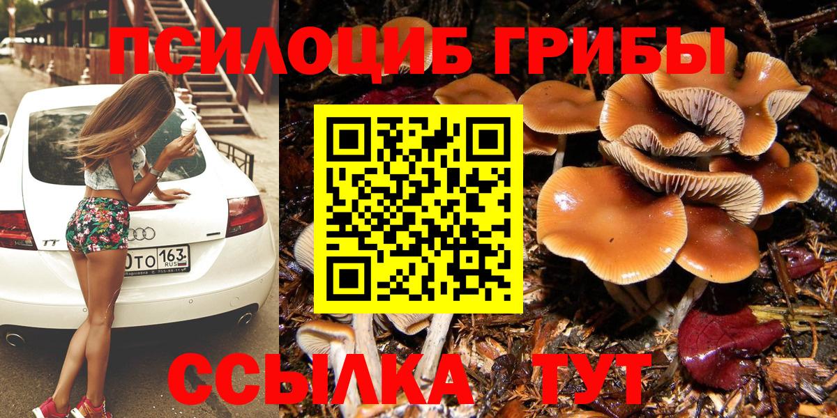 Галлюциногенные грибы прущие грибы Зима